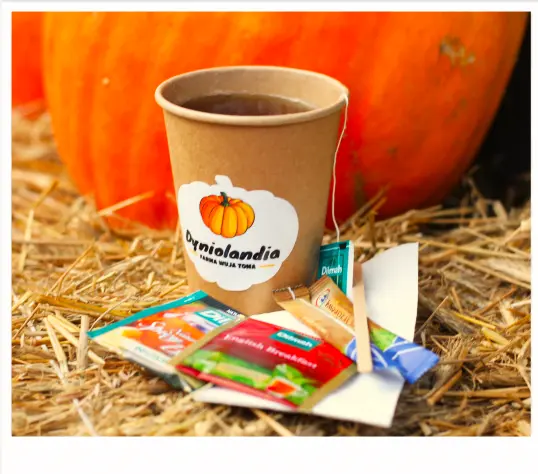 Paper cup with pumpkin sticker on straw, sugar packets and wooden stirrer, large pumpkin behind